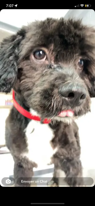 Offrez lui une nouvelle vie !