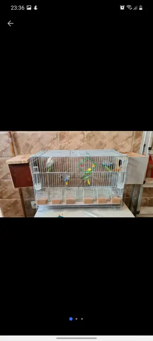 2 couple avec tout les accessoires