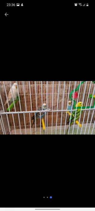 2 couple avec tout les accessoires