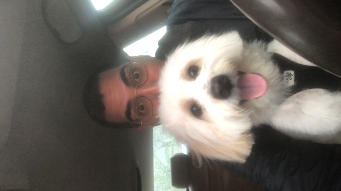 Apollon cherche sa muse