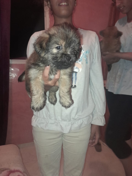 Contacter moi sur wathsapp numéro en dessous