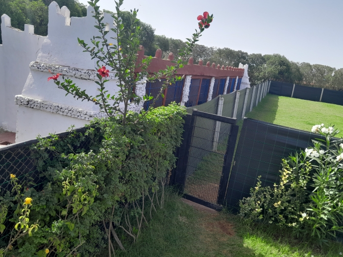 Pension et hôtel pour chiens et chats