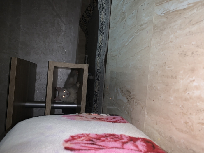 Rouidate15avenuemoulayabdallah