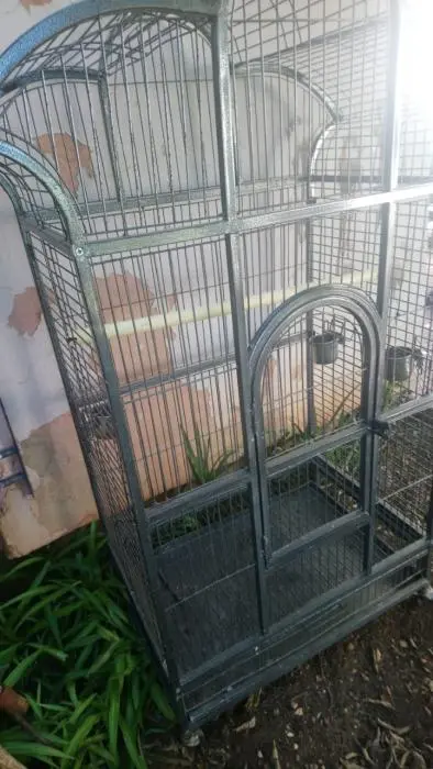 Cage perroquet
