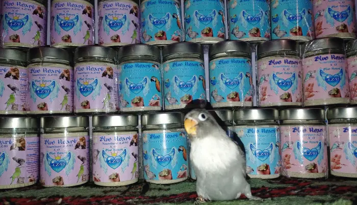 Blue Heart 💙 Nourriture A.Z/95