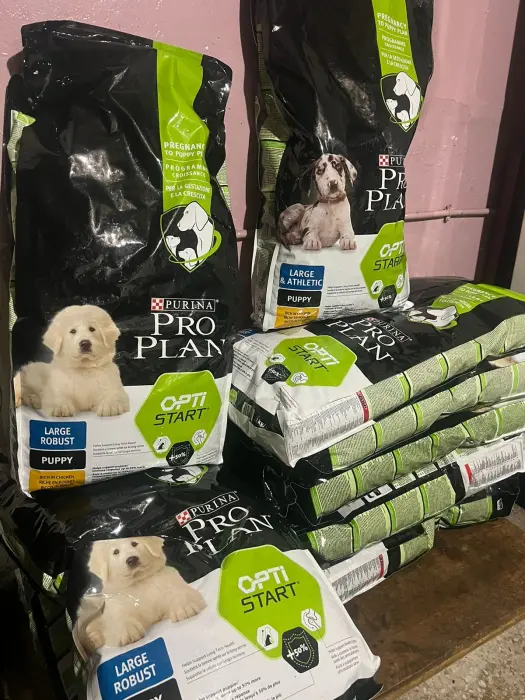 Croquet pro plan 12 kg