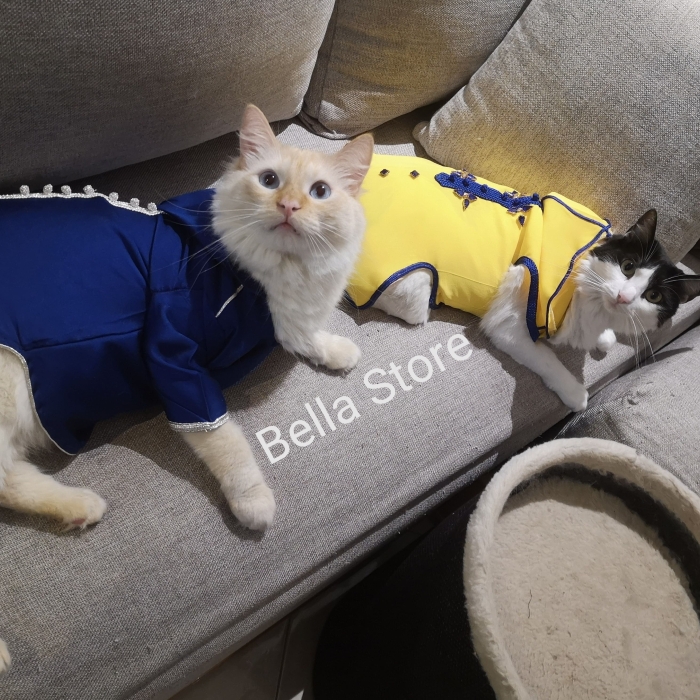 Vêtements pour chats et chiens