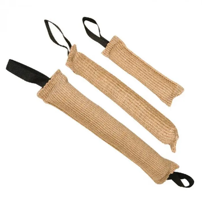 material de dressage professionnel