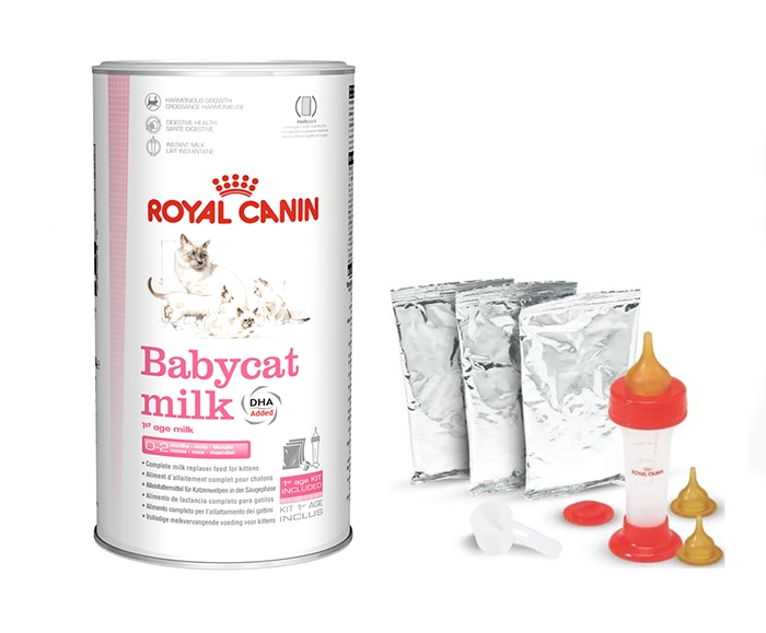 Lait maternisé Royal Canin Babycat pour chaton