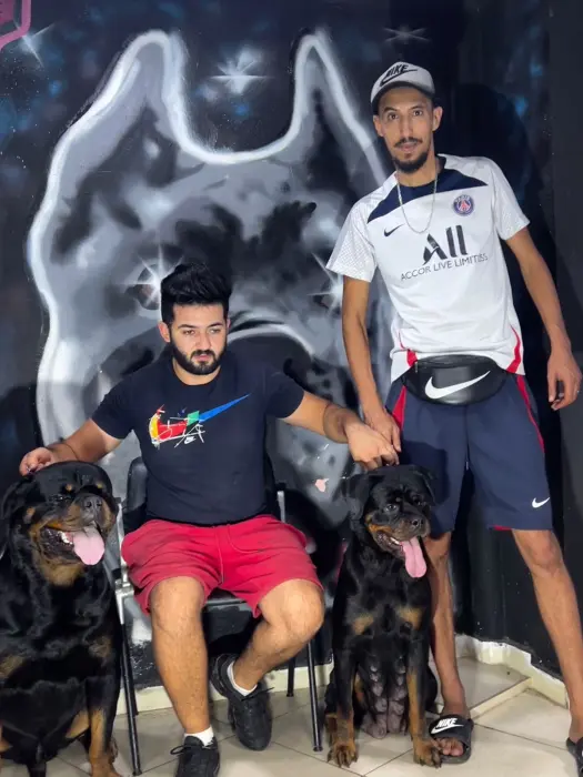 Chiots rottweiller pedigre