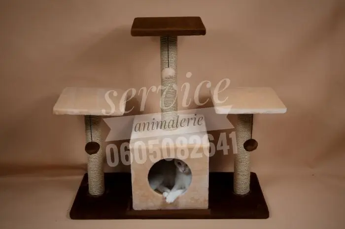 Arbres à chats et griffoir