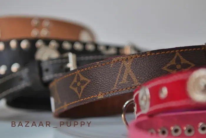 Collier laisse Muselier