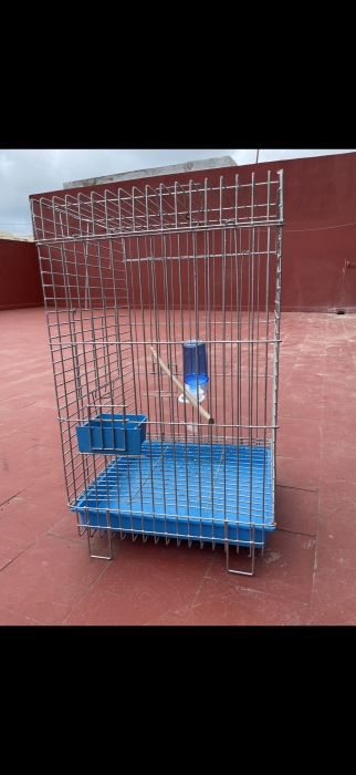 Cage à perroquet