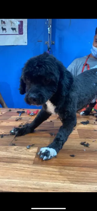 Offrez lui une nouvelle vie !