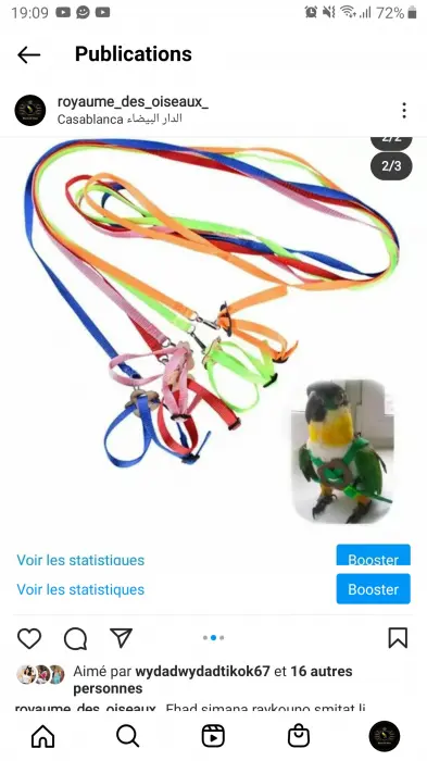 Seinture por drissaj