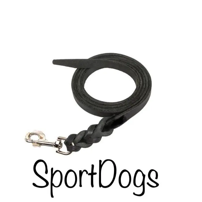 Accessoires pour chien