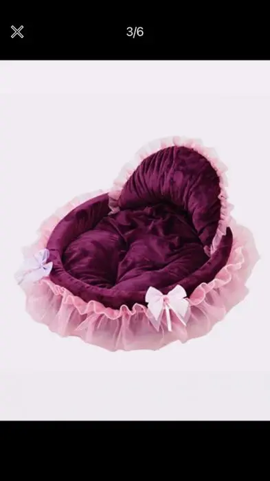 Bichon femelle avec accessoires