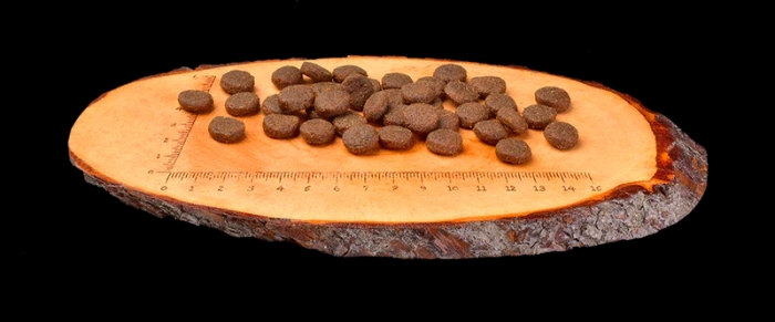 Carnilove Saumon & Dinde Large Breed Puppy