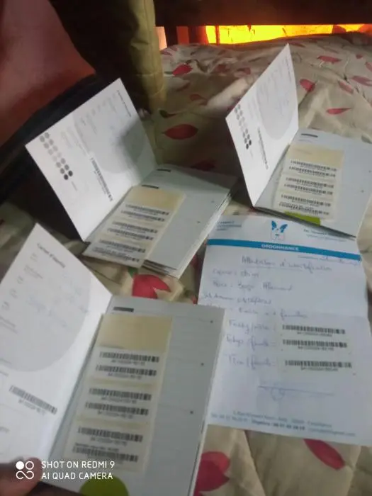 Portée Berger Allemand PEDIGREE