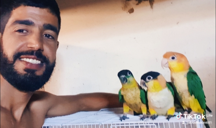 Caiique tet noire /tet orange