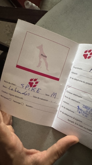 LABRADOR لابرادور