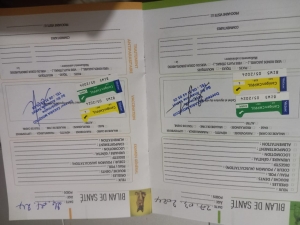 Deux Bergers allemands