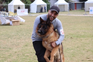 Chiot berger allemand pedigree